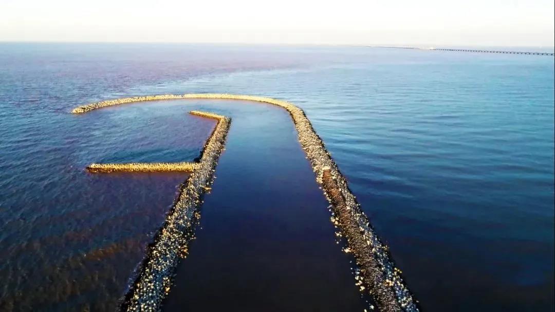 1606186985160365.jpg 微信圖片_20201124105438.jpg